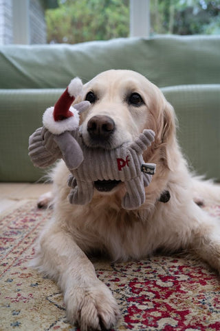 Christmas Freddi Plush Dog Toy with Squeaker