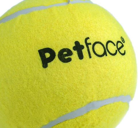 Mini Super Tennis Balls for Dogs Pack of 5
