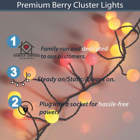 Premium berry cluster lights with features listed on a blurred background