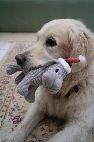 Christmas Freddi Plush Dog Toy with Squeaker