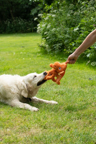 Petface Seriously Strong Plush Dragon Dog Toy