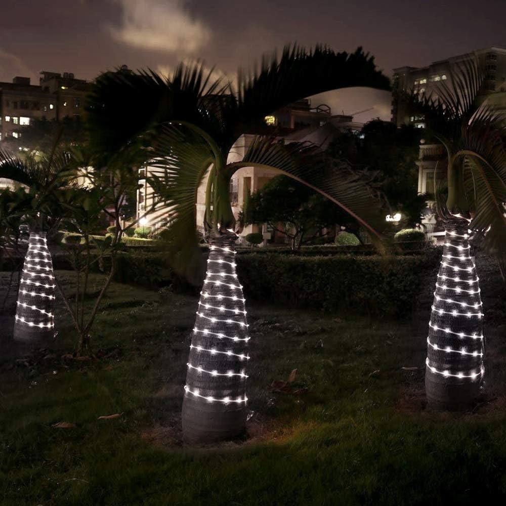 Decorative lighted trees in a garden setting at night with buildings in the background.