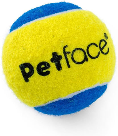 Squeaky Tennis Balls for Dogs Pack of 3
