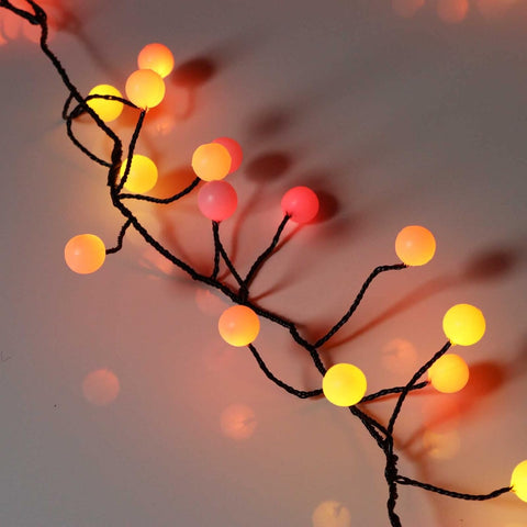 Decorative string lights with colorful bulbs on a branch against a blurred background