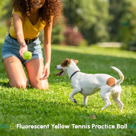 Durable Sport Play Training Ball with Mesh Bag