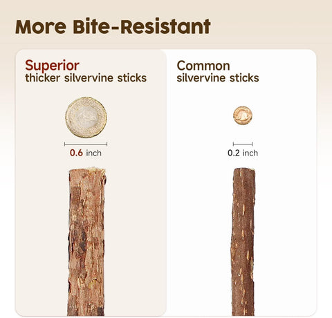 Cat Silvervine Chew Sticks 3pcs Natural Teeth Cleaning Toys