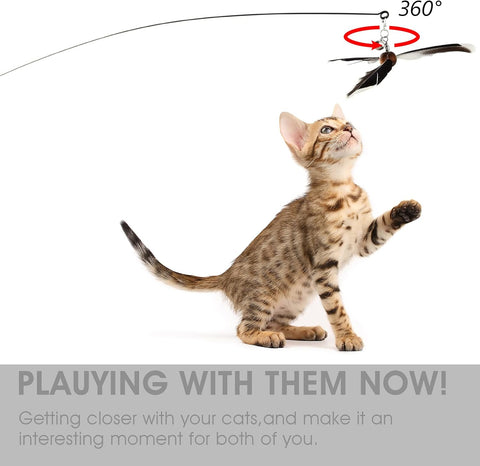 Feather Propeller Cat Wand Toy with Refill Attachment