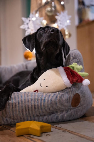 Plush Christmas Dog Toy with Squeaker