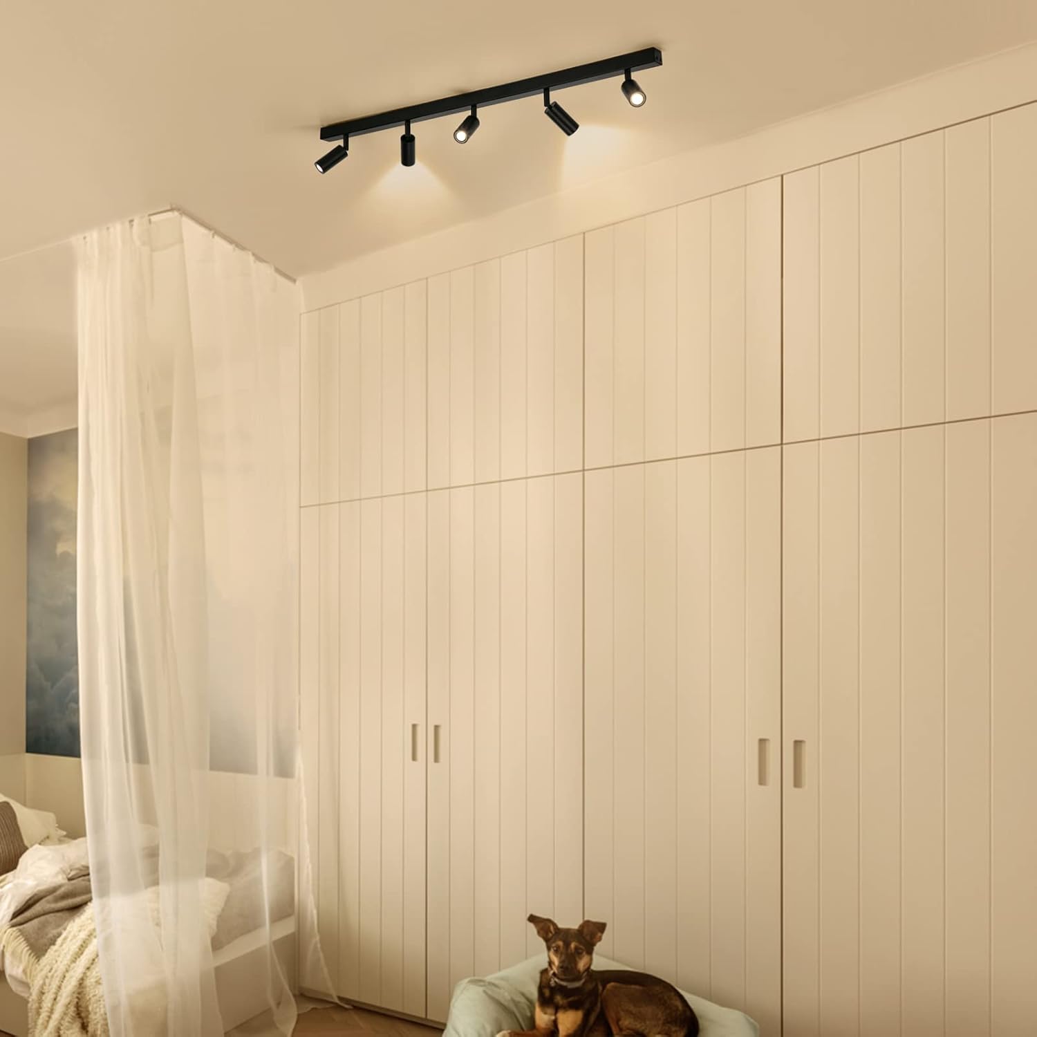 Dog sitting on a bed in a bedroom with a large wardrobe and track lights.