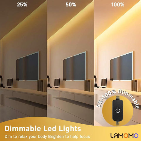 Dimmable LED lights demonstration with 25%, 50%, and 100% brightness levels in a room setting.