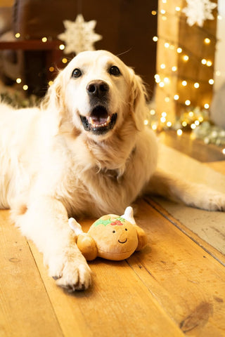 Turkey Plush Christmas Dog Toy with Squeaker
