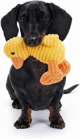 Yellow Duck Plush Dog Toy with Squeaker interactive play and enjoyment.