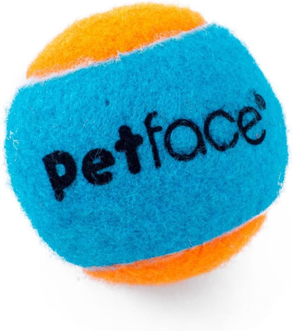 Squeaky Tennis Balls for Dogs Pack of 3