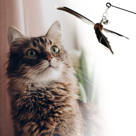 Cat Feather Propeller Wand with 2 Refills – Interactive Kitten Toy