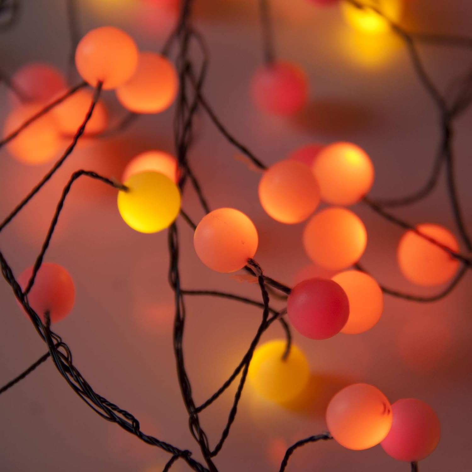 String lights with orange and pink bulbs on a branch against a blurred background