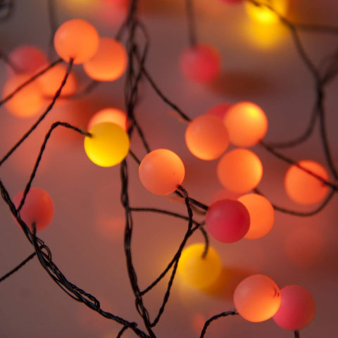 String lights with orange and pink bulbs on a branch against a blurred background