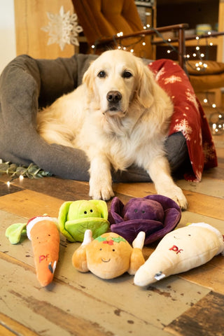 Petface Christmas Carrot Plush Dog Toy Large
