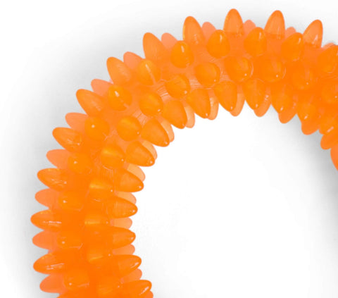 Dental Ring Dog Toy Orange