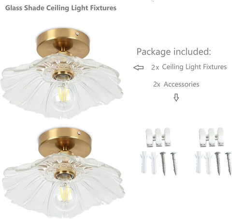 Modern Flush Mount Ceiling Light Fixture - E27 Clear Glass Shade 240V