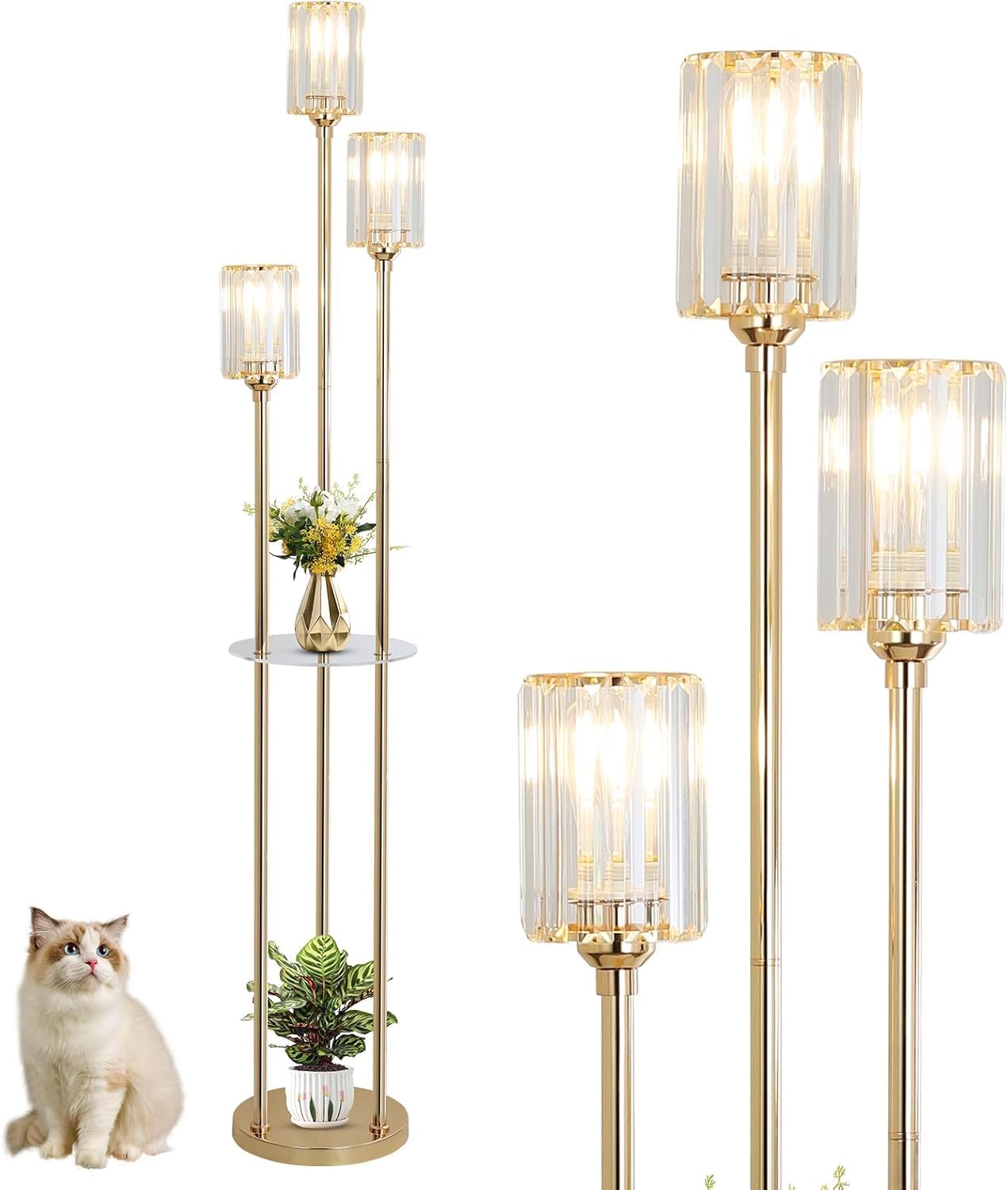 Set of gold floor lamps with glass shades on a white background, one with a cat sitting next to it.