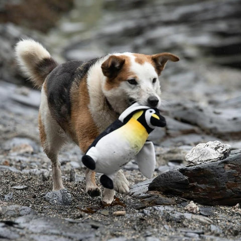 Petface Planet Panuk The Penguin Plush Dog Toy