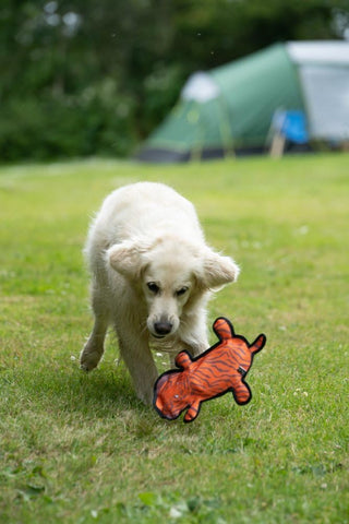 Seriously Strong Plush Tiger Dog Toy