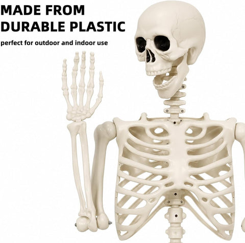 3ft Halloween Skeleton 2 Pack – Posable Plastic Skeleton Decorations for Indoor & Outdoor Halloween Parties, Haunted Houses, Gardens & Spooky Displays