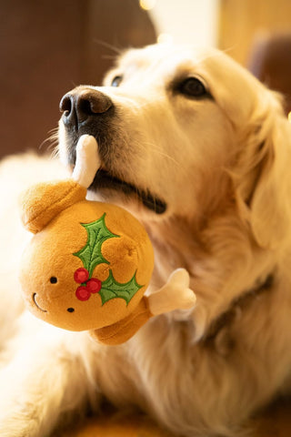Turkey Plush Christmas Dog Toy with Squeaker