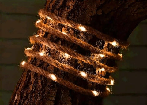 Decorative string lights wrapped around a tree trunk