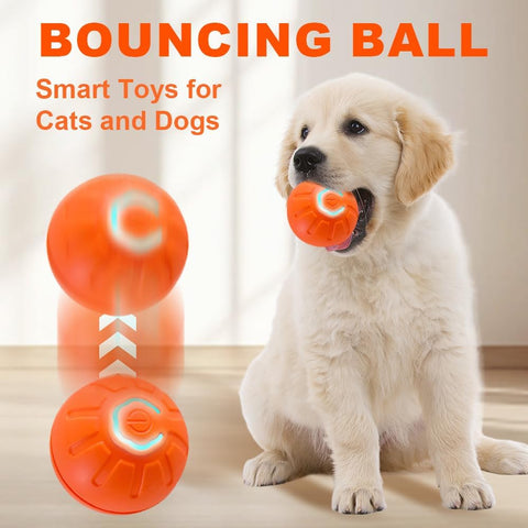 Interactive Automatic Rolling Pet Ball with LED Light