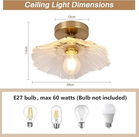Modern Flush Mount Ceiling Light Fixture - E27 Clear Glass Shade 240V