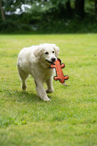 Seriously Strong Plush Tiger Dog Toy