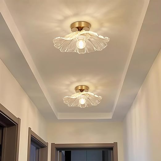 Modern Flush Mount Ceiling Light Fixture - E27 Clear Glass Shade 240V