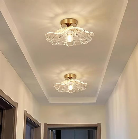 Modern Flush Mount Ceiling Light Fixture - E27 Clear Glass Shade 240V