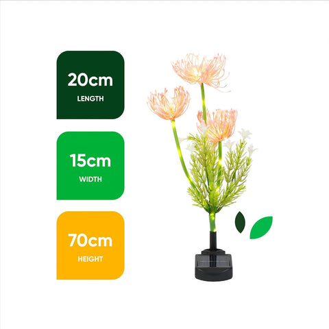 Solar Spider Lily Stake Light – 30 LED Warm White Garden Light, 3 Flower Heads, Outdoor Solar Garden Light for Pathway, Patio, Lawn & Flower Beds, Decorative Floral Stake Lighting