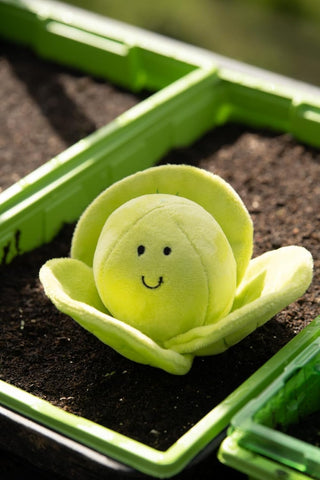 Fluffy Sprout Plush Dog Toy