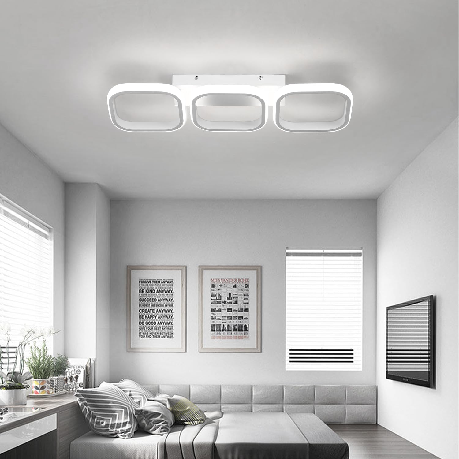 Modern living room with a ceiling light fixture, gray sofa, and framed artwork on the wall.
