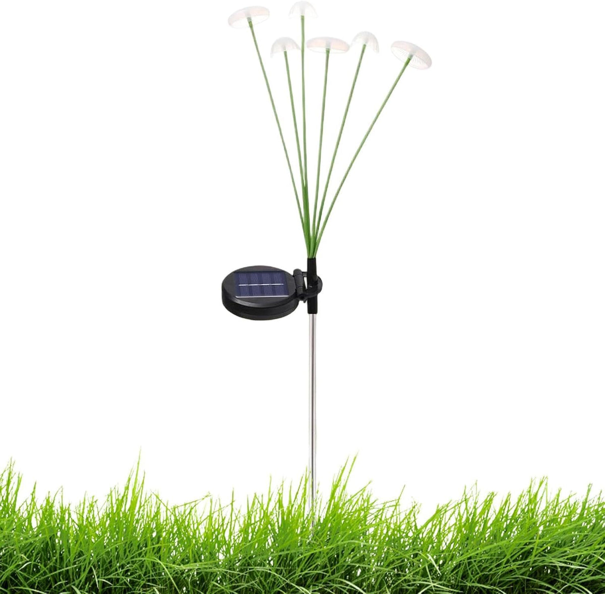 Genérico Solar Lights Waterproof Lighting Decoration