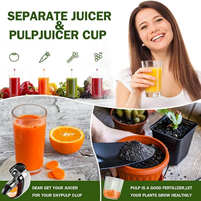 AMZCHEF Juicer Machines - Cold Press Slow Juicer - Masticating Juicer for Whole Fruits and Vegetables - Delicate Chew No Need to Filter - BPA Free Juice Extractor with 2 Cups and Brush - Black