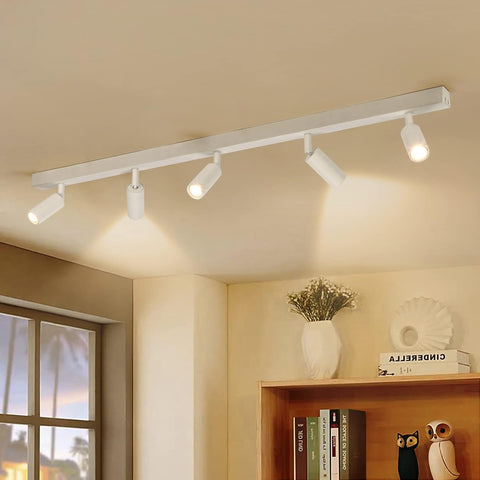 Ceiling track light fixture with four lights on a beige ceiling, with a window and bookshelf in the background.