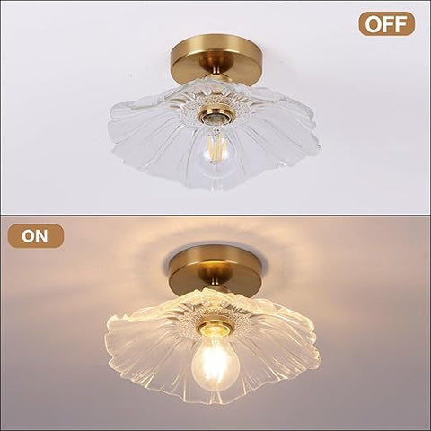 Modern Flush Mount Ceiling Light Fixture - E27 Clear Glass Shade 240V