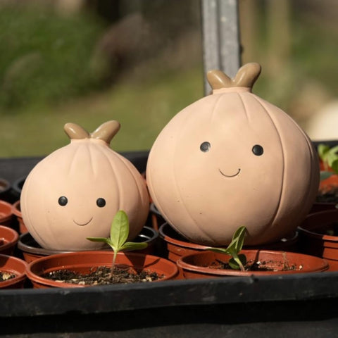 Petface Latex Onion Soft Chew Dog Toy, Large