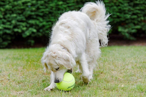 Petface Mega Tennis Ball 15cm Dog Toy