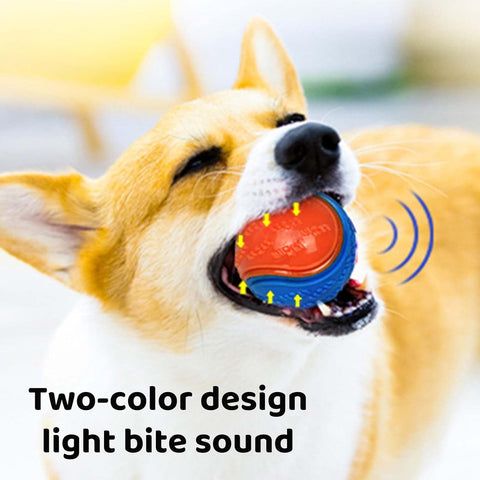 Squeaky Dog Ball Set for Puppies and Small Dogs