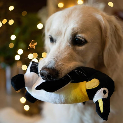 Petface Planet Panuk The Penguin Plush Dog Toy