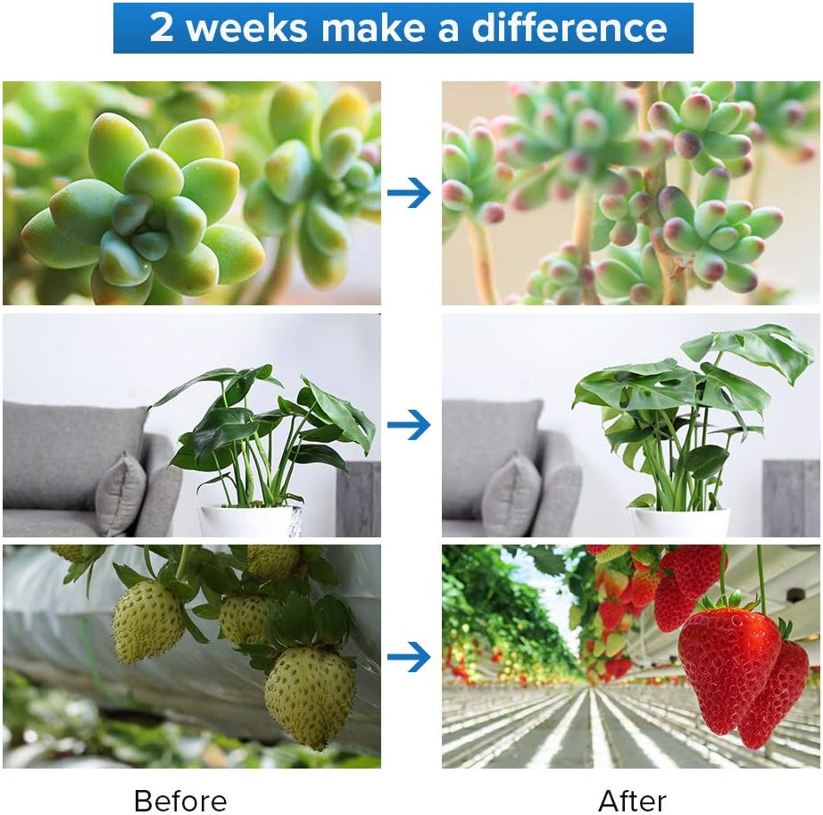 Before and after comparison of plants and fruits with text '2 weeks make a difference'.
