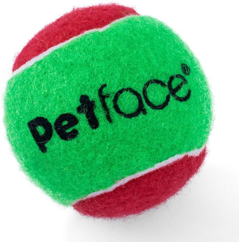 Squeaky Tennis Balls for Dogs Pack of 3