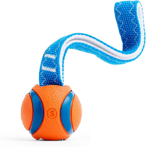 Chuckit Ultra Tug Interactive Dog Toy Small