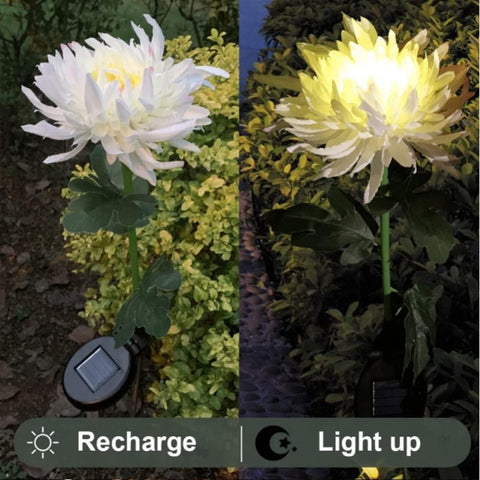 Solar Chrysanthemum Lights 2pcs Waterproof Light Artificial Flowers Stake Light for Gardening Yard Landscape Decor