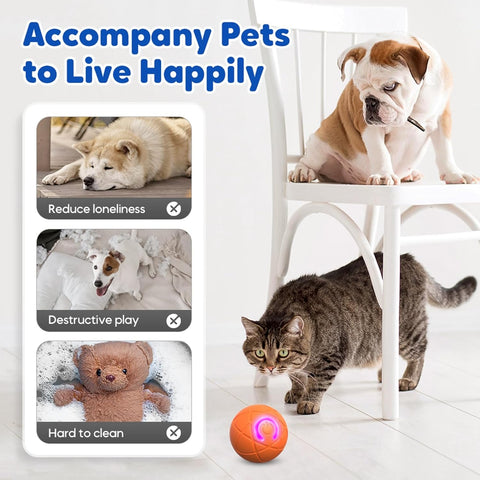 Interactive Pet Toy Rolling Ball Blue